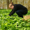 L'antre 2 herbes